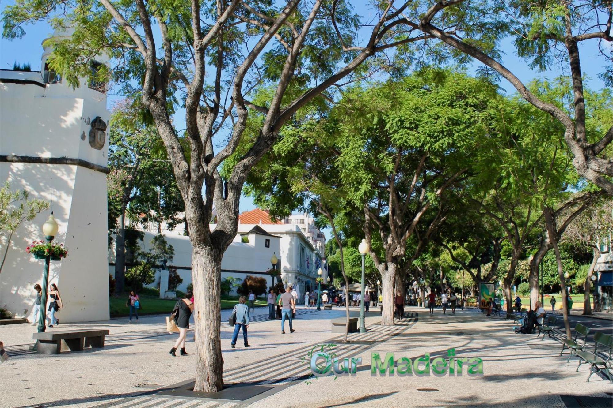 フンシャルOurmadeira - Heart Of Old Town IIアパートメント エクステリア 写真