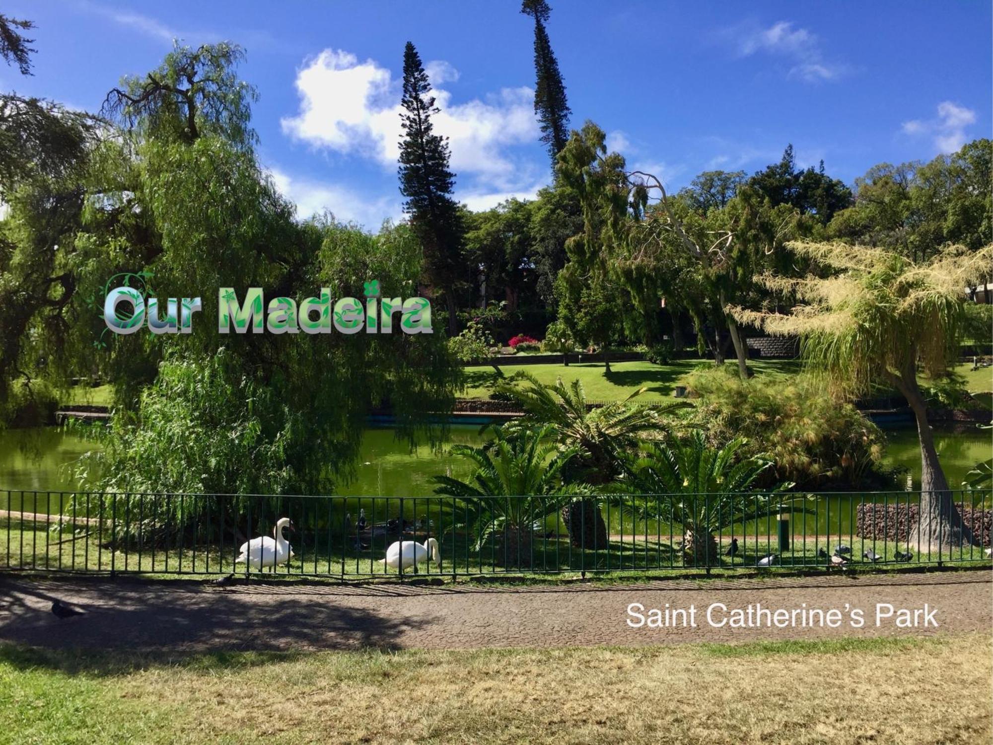 フンシャルOurmadeira - Heart Of Old Town IIアパートメント エクステリア 写真